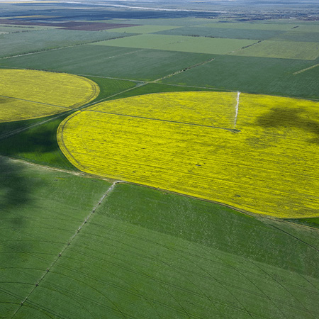 Agriculture Center Pivot Example Image