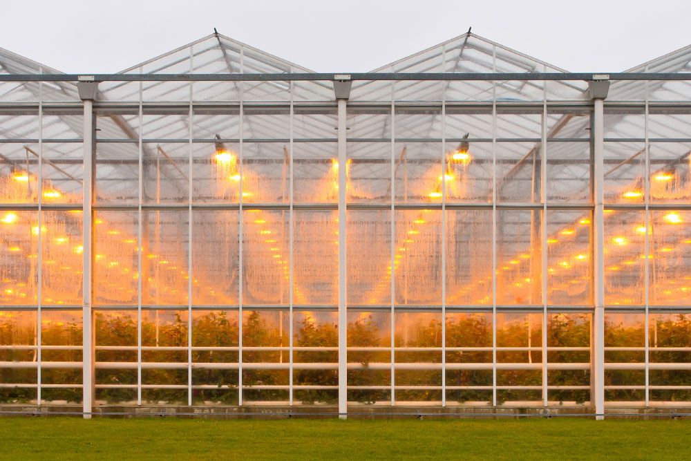 Greenhouse from the outside
