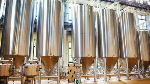 A photograph of a row of stainless steel brewery fermenters in bright daytime.